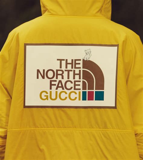 nothface x gucci|gucci x north face tracksuit.